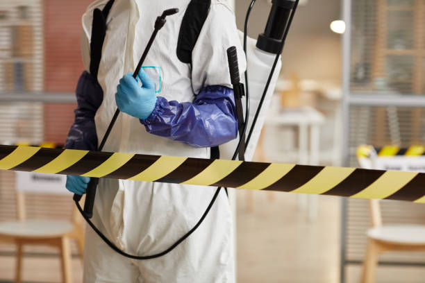 Professional Sewage Cleanup technician working in Huntington, NY